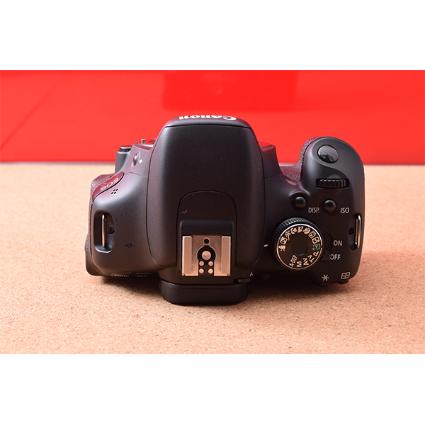 初心者用の一眼レフカメラ専門館TSS / Canon キャノン EOS Kiss X5